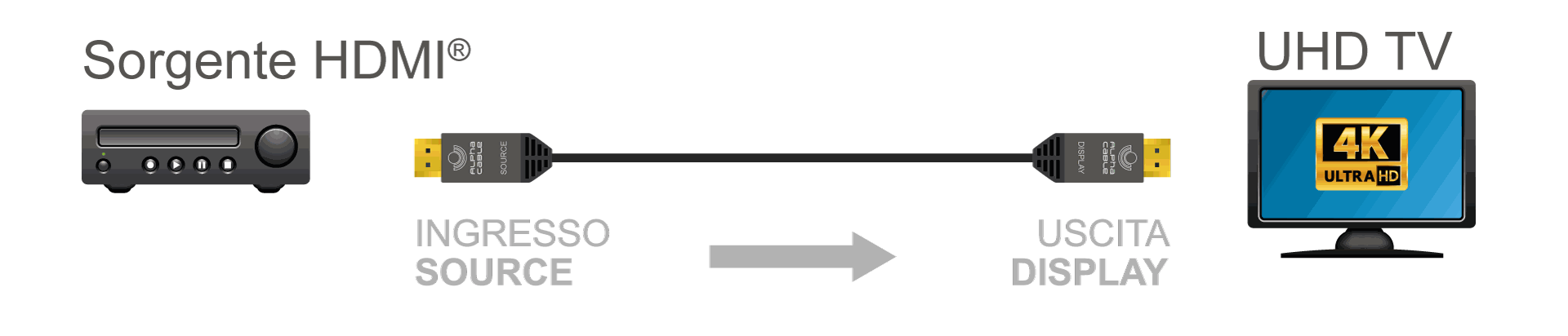 Odoo CMS - a big picture